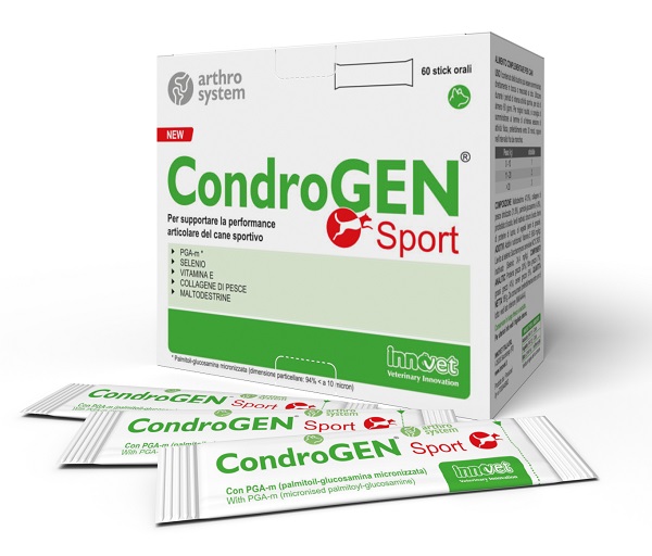 CONDROGEN SPORT 60 STICK - Parafarmacia Mostacciano